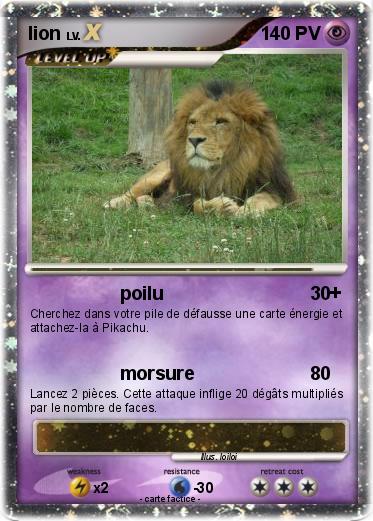 Pokemon lion