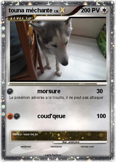 Pokemon touna méchante
