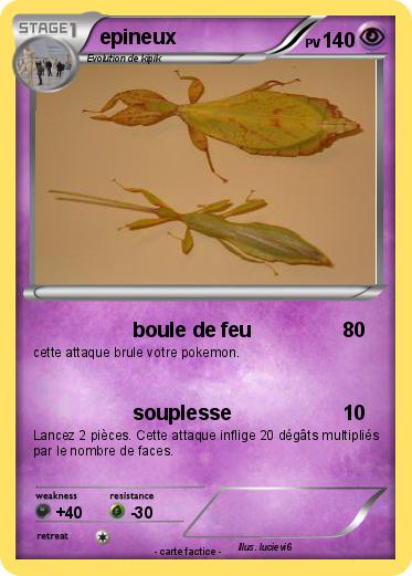 Pokemon epineux
