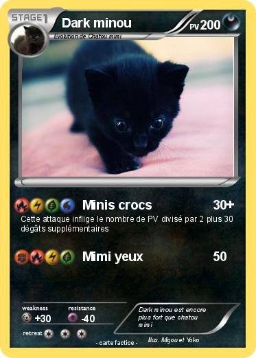 Pokemon Dark minou