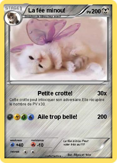 Pokemon La fée minou!