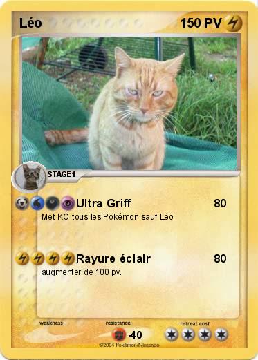 Pokemon Léo