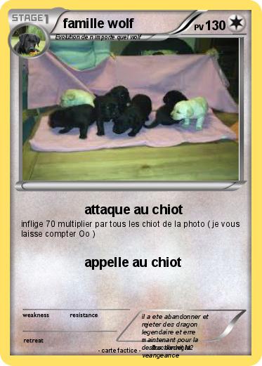 Pokemon famille wolf