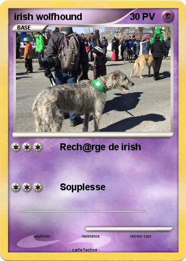 Pokemon irish wolfhound