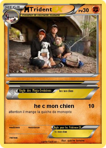 Pokemon Trident