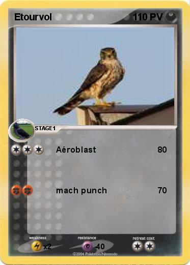 Pokemon Etourvol