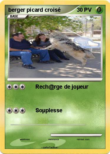 Pokemon berger picard croisé