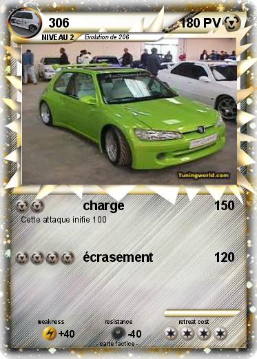 Pokemon 306