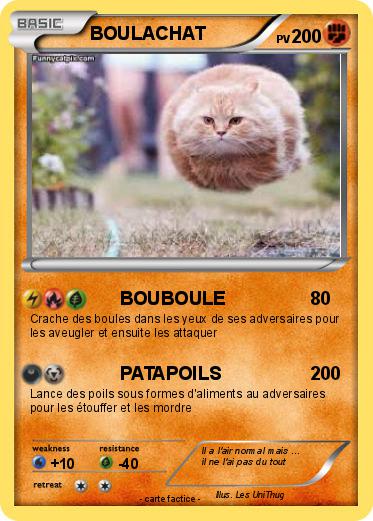 Pokemon BOULACHAT