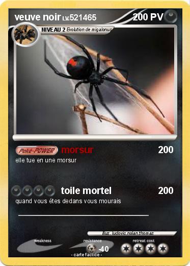Pokemon veuve noir