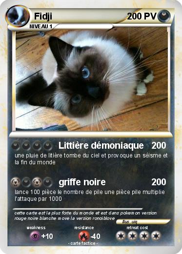 Pokemon Fidji