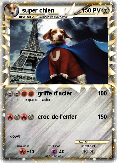 Pokemon super chien