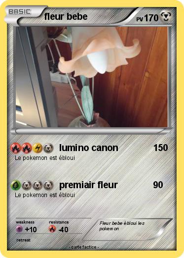 Pokemon fleur bebe