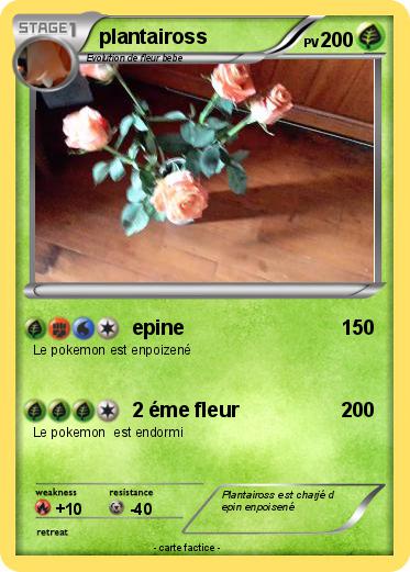 Pokemon plantaiross