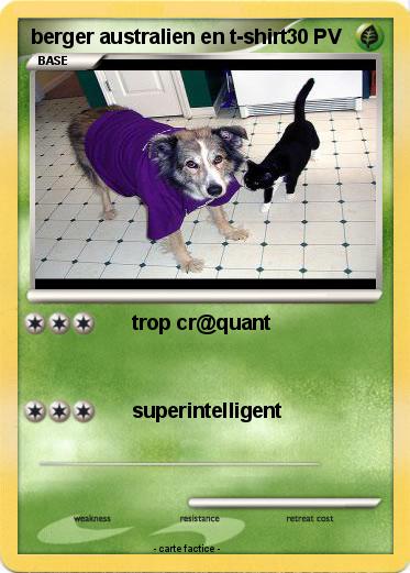 Pokemon berger australien en t-shirt