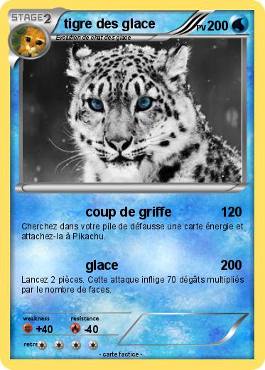 Pokemon tigre des glace