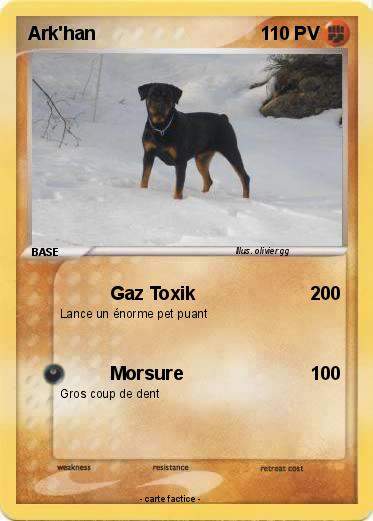Pokemon Ark'han