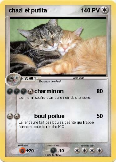 Pokemon chazi et putita