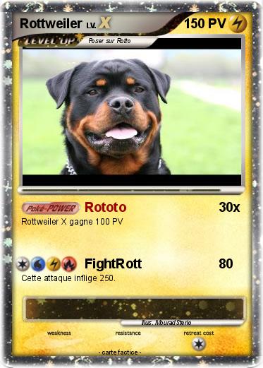 Pokemon Rottweiler