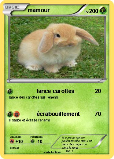 Pokemon mamour