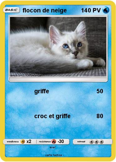 Pokemon flocon de neige