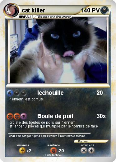 Pokemon cat killer