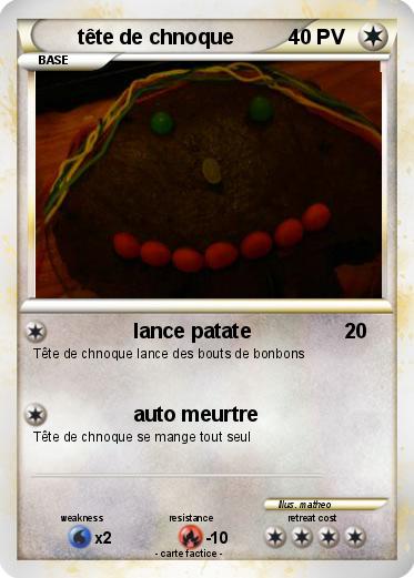Pokemon tête de chnoque