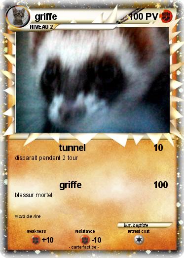 Pokemon griffe