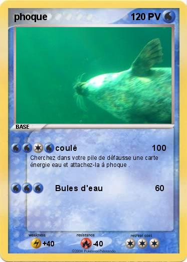 Pokemon phoque
