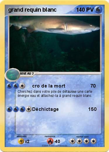 Pokemon grand requin blanc