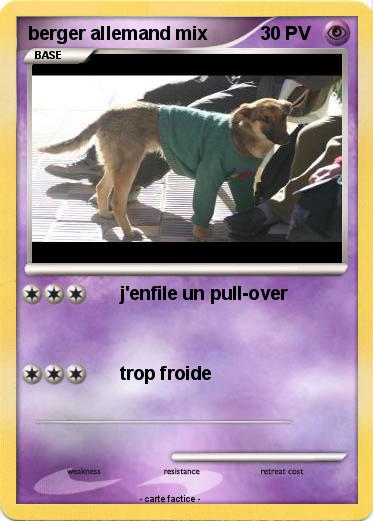 Pokemon berger allemand mix