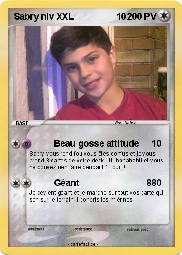 Pokemon Sabry niv XXL                 10