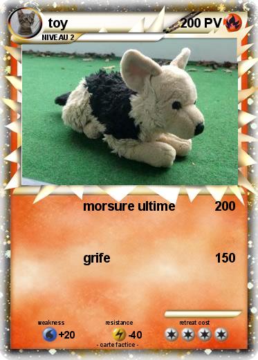 Pokemon toy