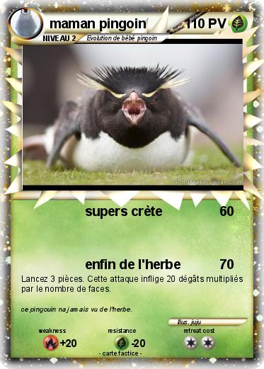 Pokemon maman pingoin