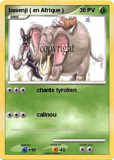 Pokemon basenji ( en Afrique )