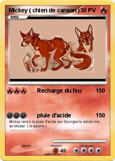 Pokemon Mickey ( chien de canaan )