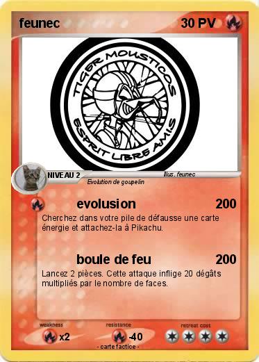 Pokemon feunec
