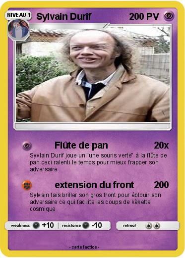 Pokemon Sylvain Durif