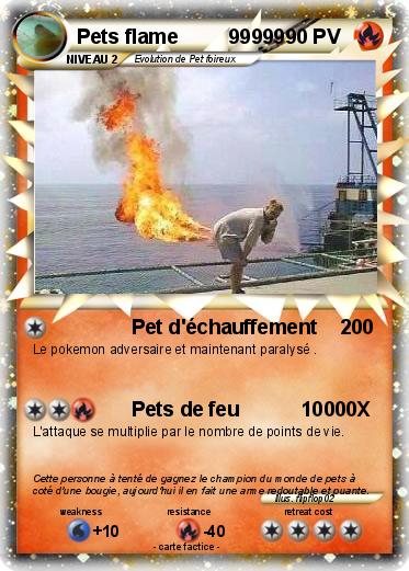 Pokemon Pets flame         99999