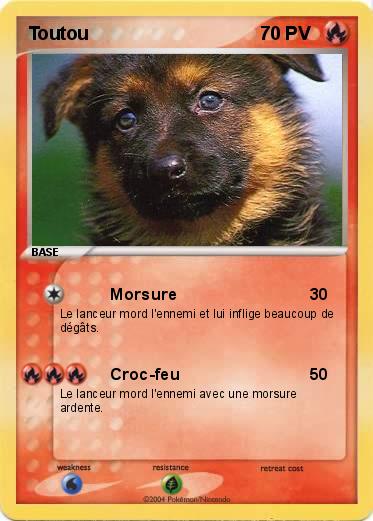 Pokemon Toutou