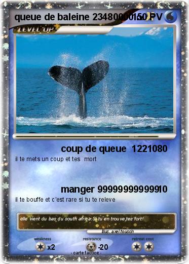 Pokemon queue de baleine 23480000