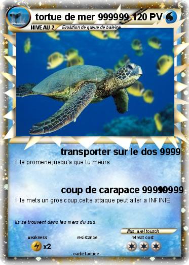 Pokemon tortue de mer 999999