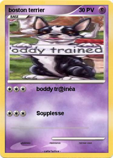 Pokemon boston terrier