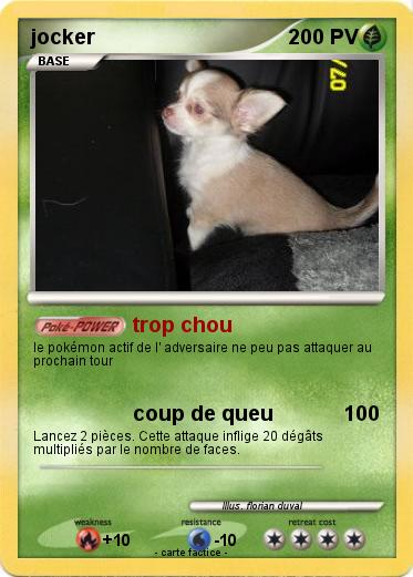 Pokemon jocker
