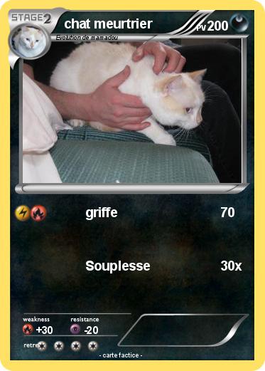 Pokemon chat meurtrier