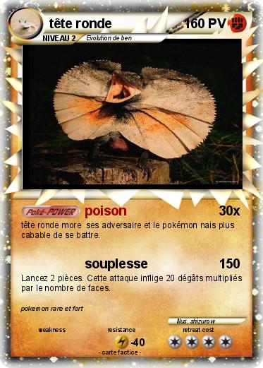 Pokemon tête ronde