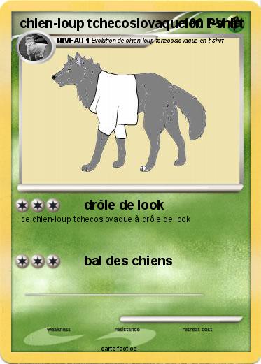 Pokemon chien-loup tchecoslovaque en t-shirt