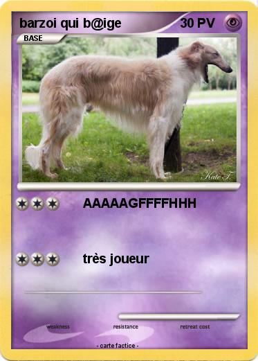 Pokemon barzoi qui b@ige