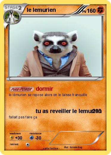 Pokemon le lemurien