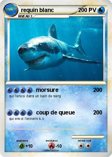 Pokemon requin blanc